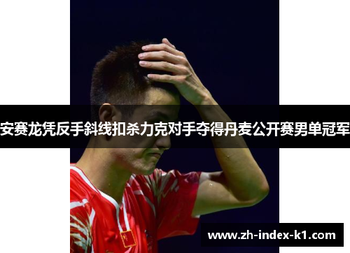 安赛龙凭反手斜线扣杀力克对手夺得丹麦公开赛男单冠军