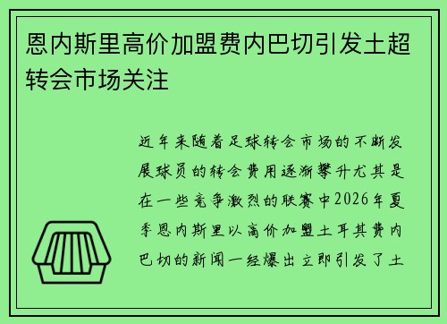 恩内斯里高价加盟费内巴切引发土超转会市场关注