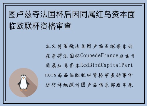 图卢兹夺法国杯后因同属红鸟资本面临欧联杯资格审查
